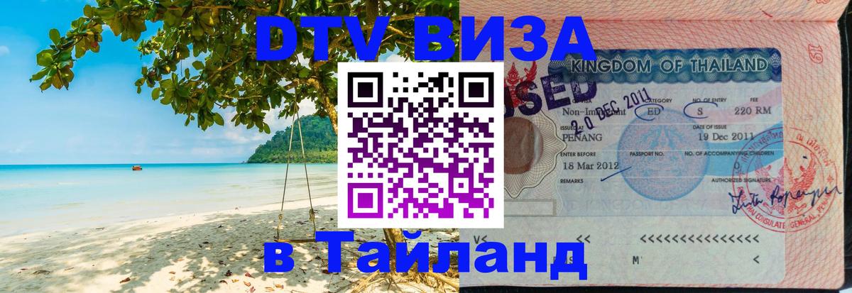 Оформление DTV визы под ключ: стоимость и тарифы, только загранпаспорт - 